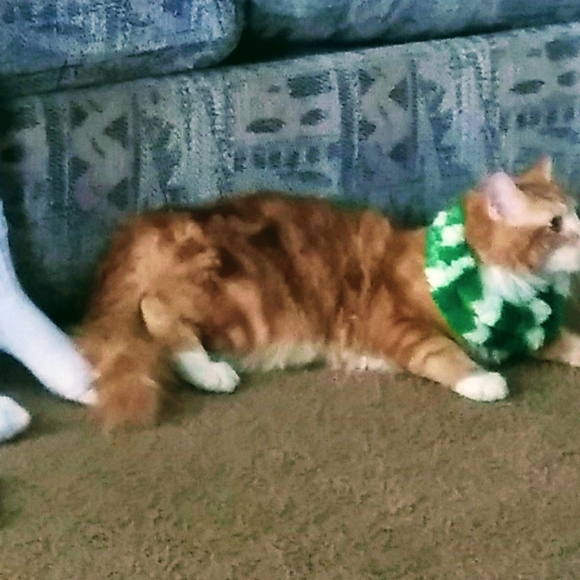 Clothing, Household Items and more!! - Picture 3 of 6